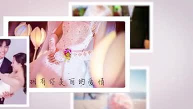 浪漫小清新婚礼相册Pr模板视频的预览图